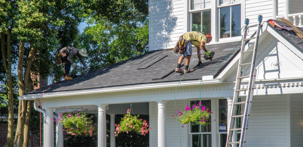 Best Roof Insulation Installation  in Statesboro, GA